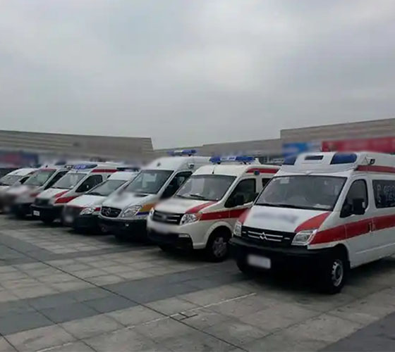 合作市服务车队展示